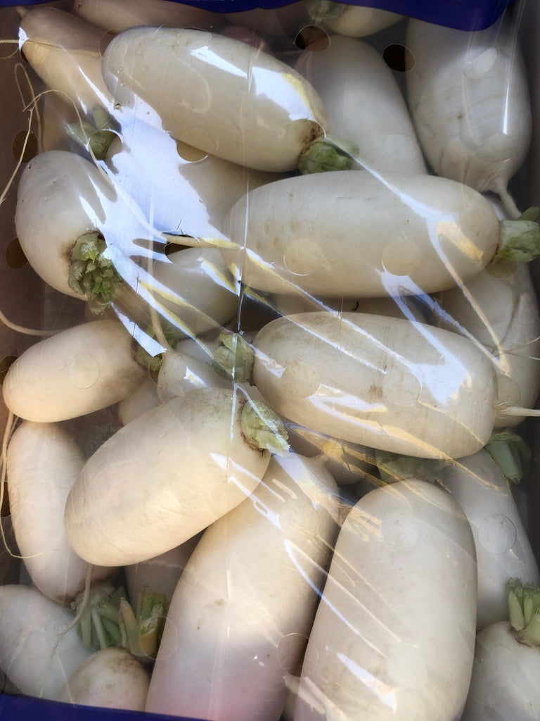 Củ cải trắng nhỏ 1kg (8800567591249)